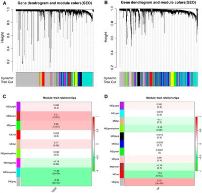 Integrated analysis of genes shared between type 2 diabetes mellitus and osteoporosis